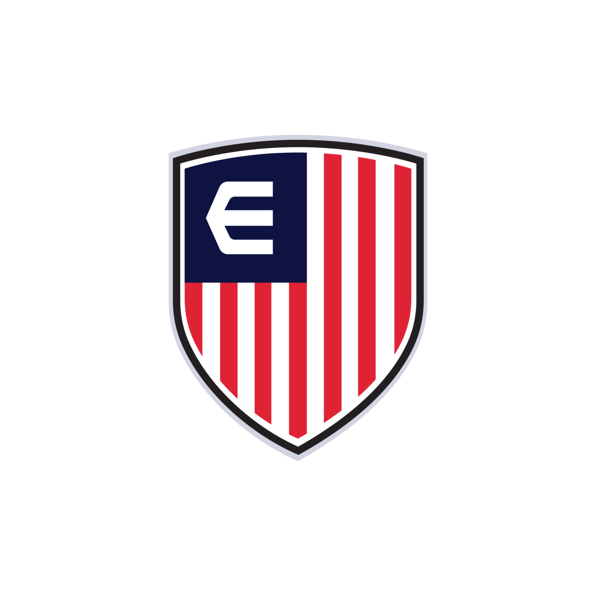 Elite Volleyball badge